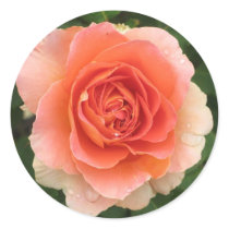 Rose Sticker by ggbythebay Rose Sticker