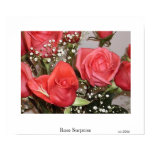 Rose Surprise