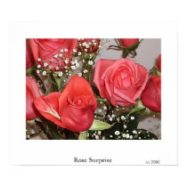 Rose Surprise posters