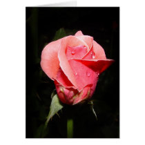 Rose tear drop card