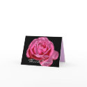Rose Thank You Card by rosesbythebay Rose Thank You Card