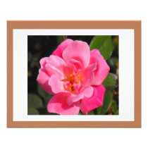 Rose & the Bee "Art by I AM" Photo Enlargement