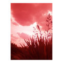ROSE TINTED GLASSES posters by eagleist ROSE TINTED GLASSES posters