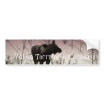 Rose Tinted Moose; Yukon Territory, Canada Bumper Stickers
