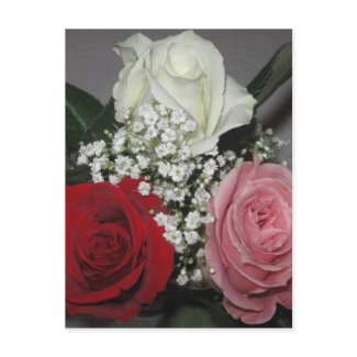 Rose Trio Postcard postcard