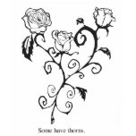 rose t-shirts