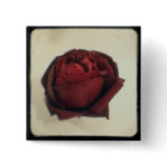 Rose TTV Button