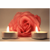 rose two candles pink floral photo photo sculpture