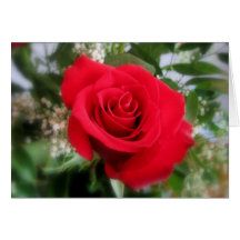 Rose Valentine Cards
