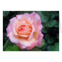 Rose Valentine Greeting Cards