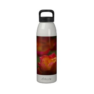 Rose Water Bottle 3