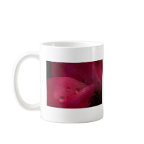 Rose Water mugs by bhbphotos Rose Water mugs