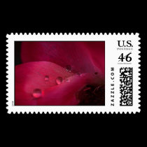 Rose Water stamps