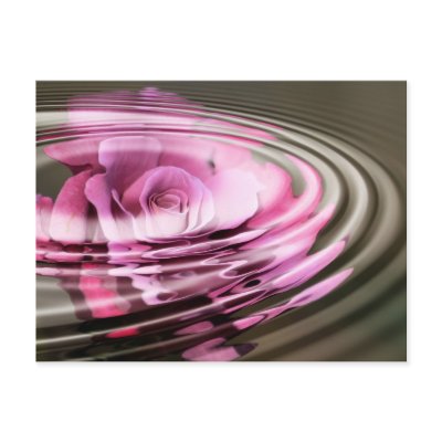 Rose Water Postcard by OrphieG