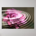 Rose Water posters