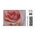 Rose Wedding Postage postage by samtdesign Rose Wedding Postage postage