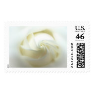 Rose Wedding Postage Stamp stamp