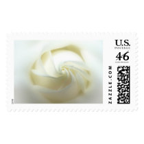 Rose Wedding Postage Stamp stamp