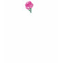 Rose & White Carnation T Shirts