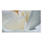 Rose, white flower macro business card template
