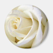 Rose White Fridge Magnets
