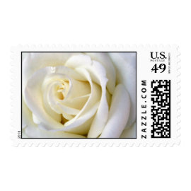 Rose White Postage