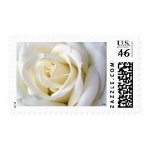 Rose White Postage