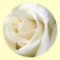 Rose White stickers