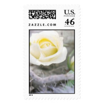 rose winter wedding postage