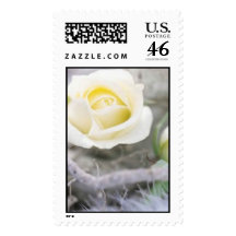 rose winter wedding postage