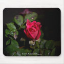 Rose With A Face Mousepad by MichelleLThompson Rose With A Face Mousepad
