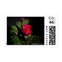 Rose With A Face Postage Stamp
