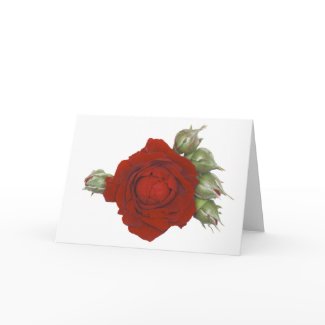 Rose with buds card