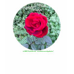 ROSE WITH POEM T-SHIRT