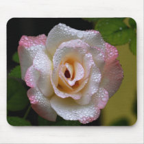 Rose With Raindrops mousepads