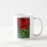 Rose with star Coffee cup Coffee Mugs