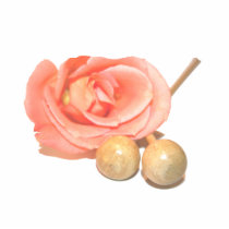 Rose with wooden percussion bell mallets faded cut cut outs