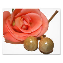 Rose with wooden percussion bell mallets photo art