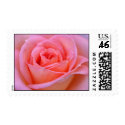 Rose Wrap Around postage by trevorluckmanphoto Rose Wrap Around postage