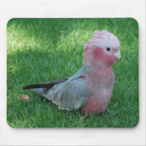Roseate Cockatoo mousepads by giftsbonanza Roseate Cockatoo mousepads