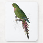 Roseate Parrakeet by Edward Lear Mouse Mats