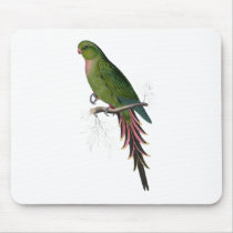 Roseate Parrakeet by Edward Lear Mouse Pad