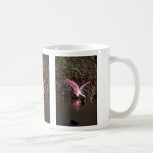 Roseate Spoonbill, fishing Mugs