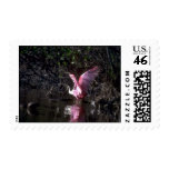 Roseate Spoonbill, fishing Stamps
