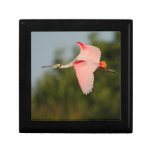 Roseate Spoonbill in Flight Keepsake Boxes