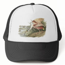 Roseate Spoonbill, John Audubon Hats