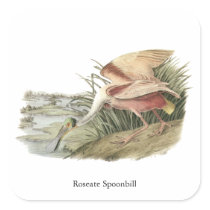 Roseate Spoonbill, John Audubon Stickers