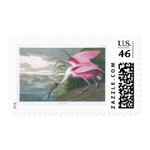 Roseate Spoonbill, John James Audubon Postage Stamp