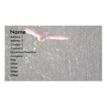 Roseate Spoonbill, landing Business Card Template