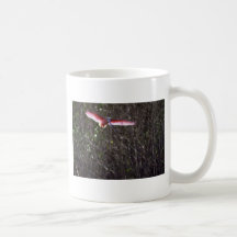Roseate Spoonbill, landing Mug